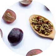 Vascular health support